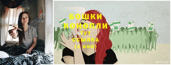 не бодяженный Богородицк