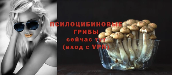 не бодяженный Богородск