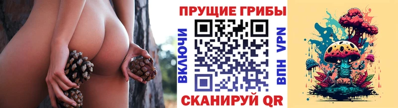 где продают наркотики  mega рабочий сайт  Галлюциногенные грибы ЛСД  Городовиковск 